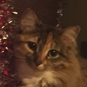 Meet your Posher, Jada